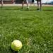 A softball in the outfield during practice on Tuesday, May 7. Daniel Brenner I AnnArbor.com